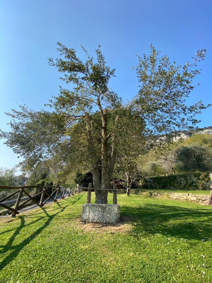 فيلا Casa Virginia اوركو فيغلينو المظهر الخارجي الصورة